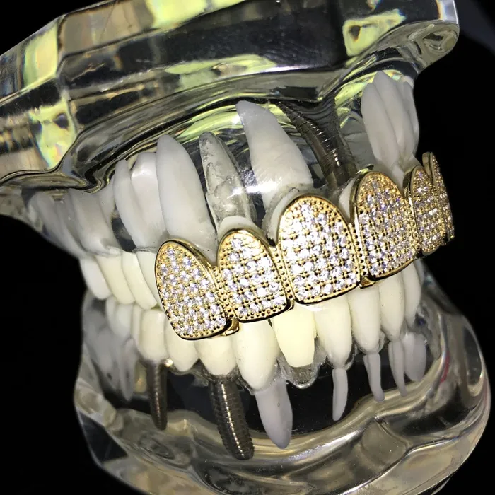 14K Gold Plated over 925 Silver Top Micro Pave Grillz Bling Cartel Admin Earrings