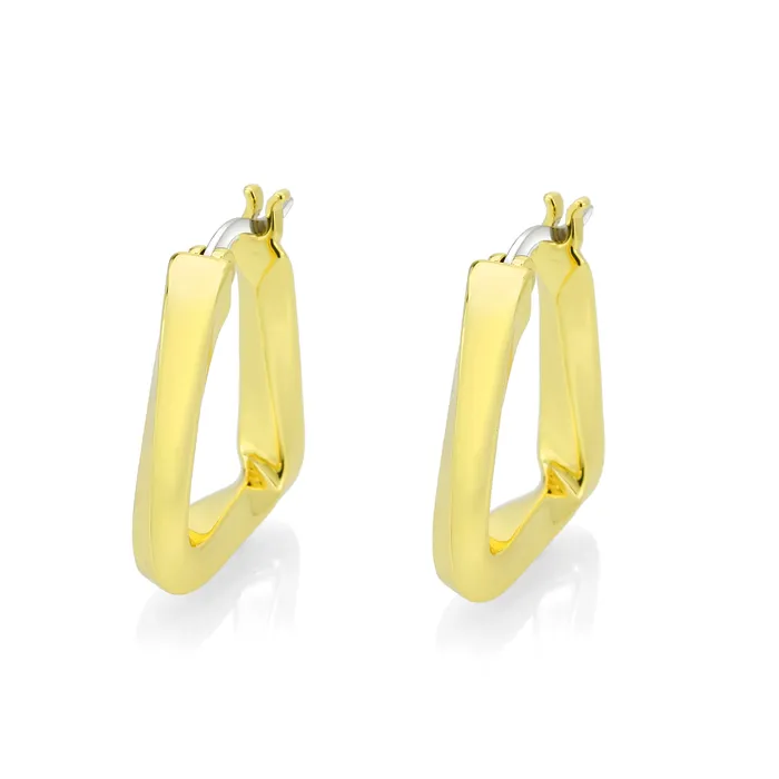 3W1759G Flash Gold Brass Earring with NoStone in No Stone Alamode Earrings
