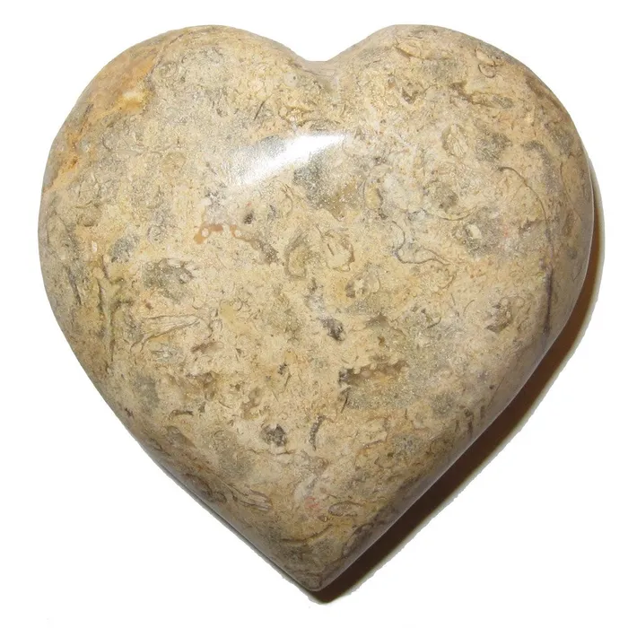 Fossil Heart Eternal Soulmate Love Crystal Healing Stone Brown Satin Crystals Necklaces Fossil Heart Eternal Soulmate Love Crystal Healing Stone Brown Satin Crystals Necklaces
