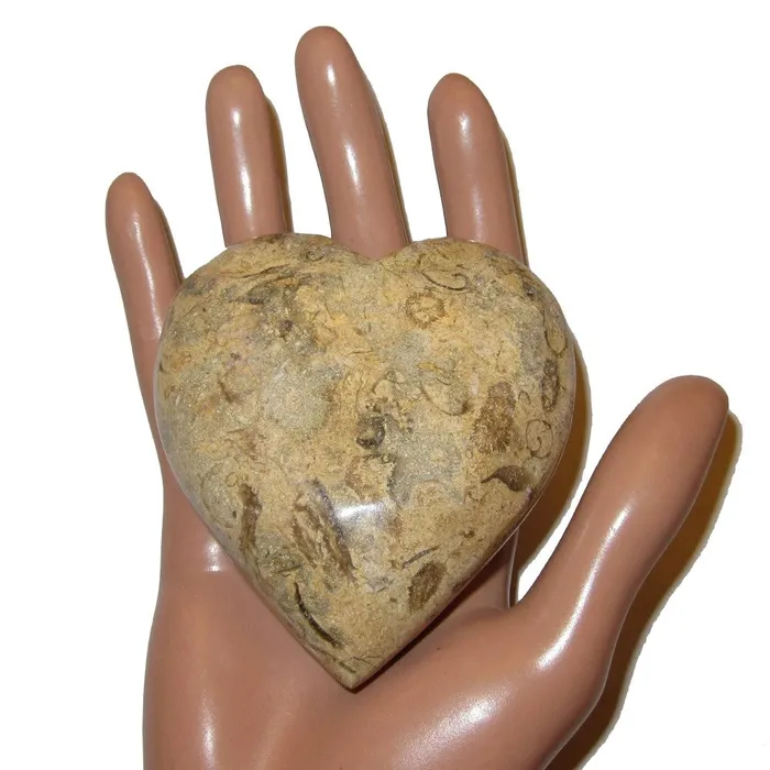 Fossil Heart Eternal Soulmate Love Crystal Healing Stone Brown Satin Crystals Necklaces Fossil Heart Eternal Soulmate Love Crystal Healing Stone Brown Satin Crystals Necklaces