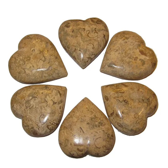 Fossil Heart Eternal Soulmate Love Crystal Healing Stone Brown Satin Crystals Necklaces Fossil Heart Eternal Soulmate Love Crystal Healing Stone Brown Satin Crystals Necklaces