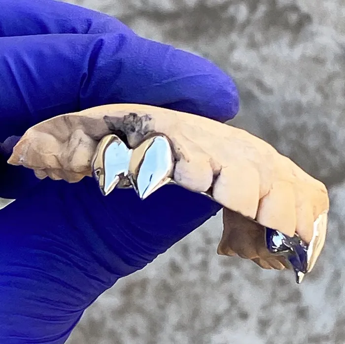 Rings 925 Sterling Silver Double Canine Vampire Fangs Custom Grillz Bling Cartel Admin