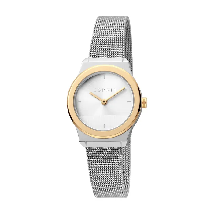 Bracelets Esprit Esprit Ladies 2Tone Stainless Steel Watch Silver Color Dial Mesh Bracelet Bracelets Esprit Esprit Ladies 2Tone Stainless Steel Watch Silver Color Dial Mesh Bracelet