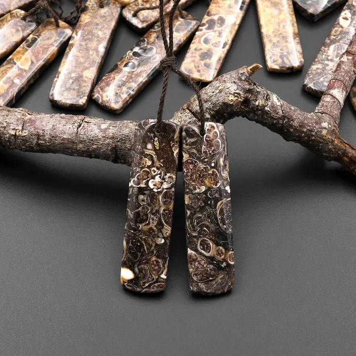Intrinsic Trading Natural Turritella Fossil Earring Pair From Wyoming Pair Drilled Long Rectangle Matched Gemstone Bead Earrings Intrinsic Trading Natural Turritella Fossil Earring Pair From Wyoming Pair Drilled Long Rectangle Matched Gemstone Bead Earrings