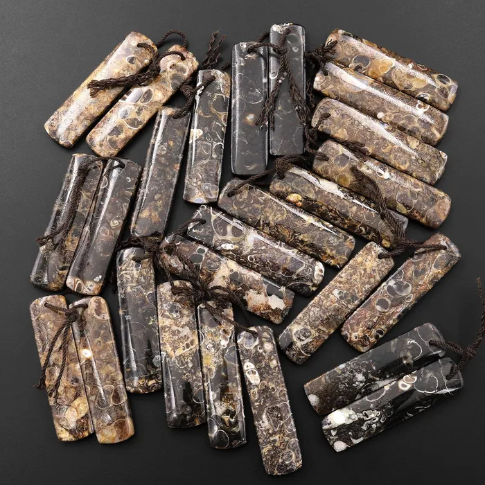 Intrinsic Trading Natural Turritella Fossil Earring Pair From Wyoming Pair Drilled Long Rectangle Matched Gemstone Bead Earrings