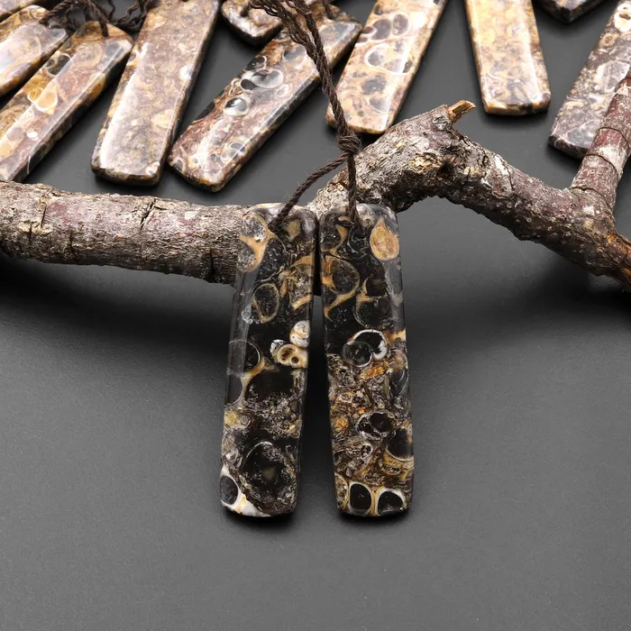 Intrinsic Trading Natural Turritella Fossil Earring Pair From Wyoming Pair Drilled Long Rectangle Matched Gemstone Bead Earrings