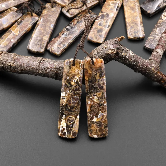 Intrinsic Trading Natural Turritella Fossil Earring Pair From Wyoming Pair Drilled Long Rectangle Matched Gemstone Bead Earrings
