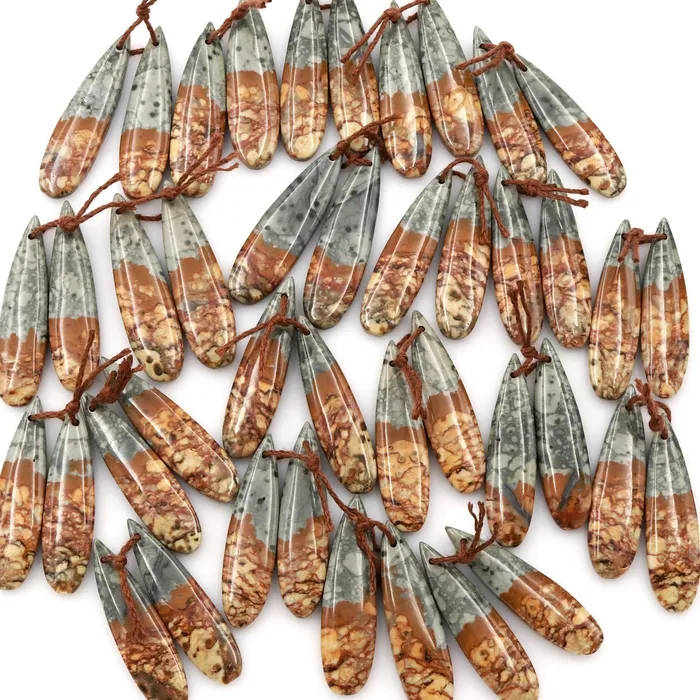 Natural Owyhee Picture Jasper Earring Pair Gemstone Drilled Earring Cabochon Cab Pair Teardrop Matched Earring Bead Pair From Oregon Intrinsic Trading Earrings