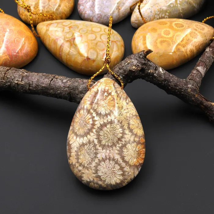 Necklaces Intrinsic Trading AAA Natural Fossil Coral Teardrop Side Drilled Gemstone Pendant Necklaces Intrinsic Trading AAA Natural Fossil Coral Teardrop Side Drilled Gemstone Pendant