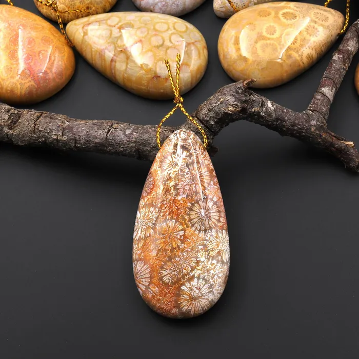 Necklaces Intrinsic Trading AAA Natural Fossil Coral Teardrop Side Drilled Gemstone Pendant