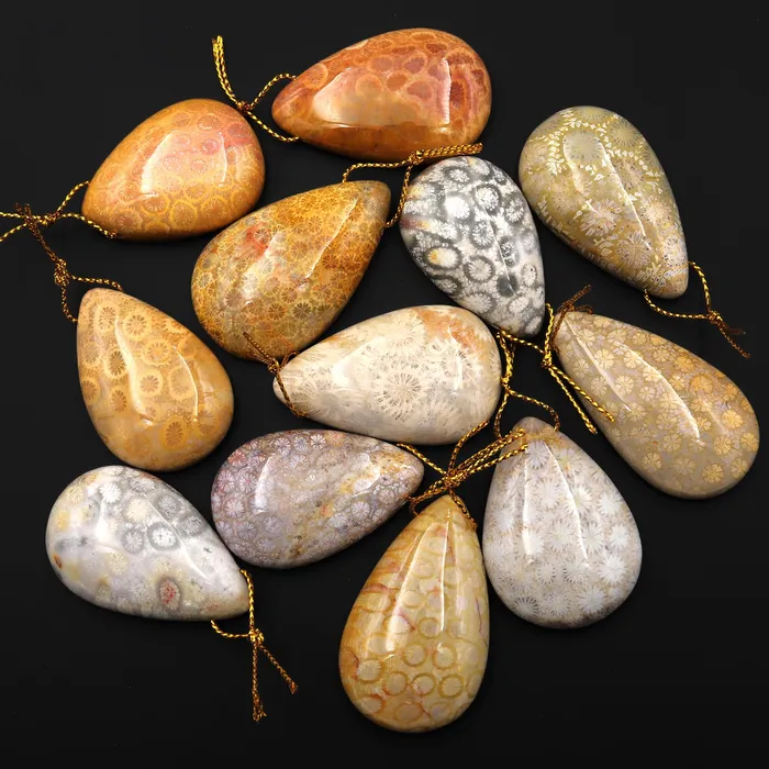 Necklaces Intrinsic Trading AAA Natural Fossil Coral Teardrop Side Drilled Gemstone Pendant
