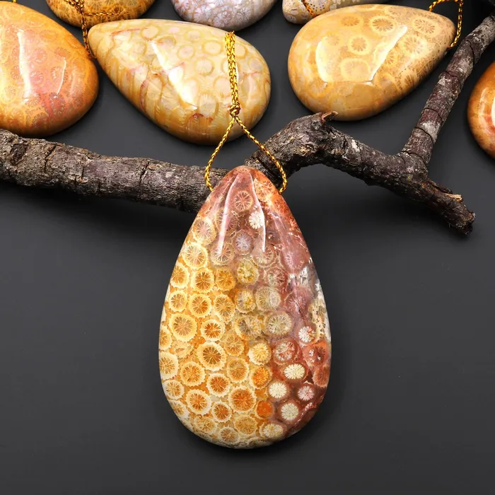 Necklaces Intrinsic Trading AAA Natural Fossil Coral Teardrop Side Drilled Gemstone Pendant