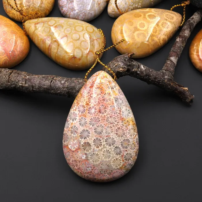 Necklaces Intrinsic Trading AAA Natural Fossil Coral Teardrop Side Drilled Gemstone Pendant