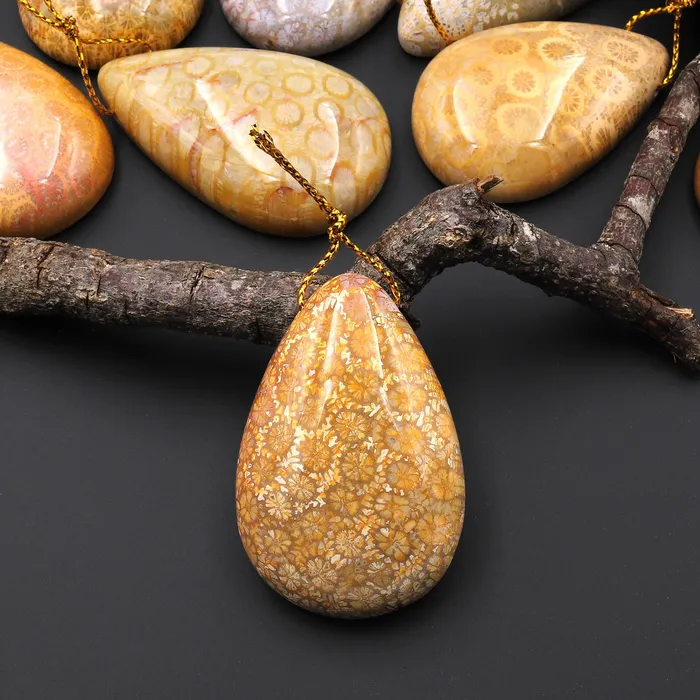 Necklaces Intrinsic Trading AAA Natural Fossil Coral Teardrop Side Drilled Gemstone Pendant