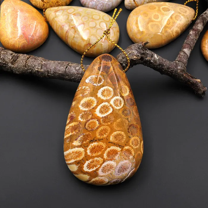 Necklaces Intrinsic Trading AAA Natural Fossil Coral Teardrop Side Drilled Gemstone Pendant