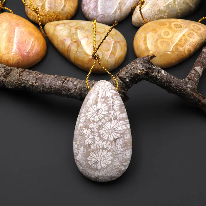 Necklaces Intrinsic Trading AAA Natural Fossil Coral Teardrop Side Drilled Gemstone Pendant
