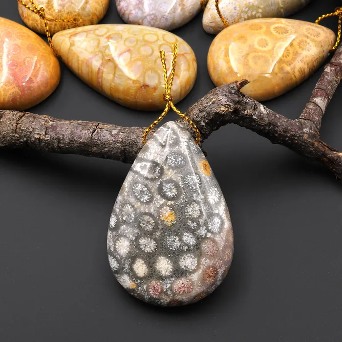 Necklaces Intrinsic Trading AAA Natural Fossil Coral Teardrop Side Drilled Gemstone Pendant