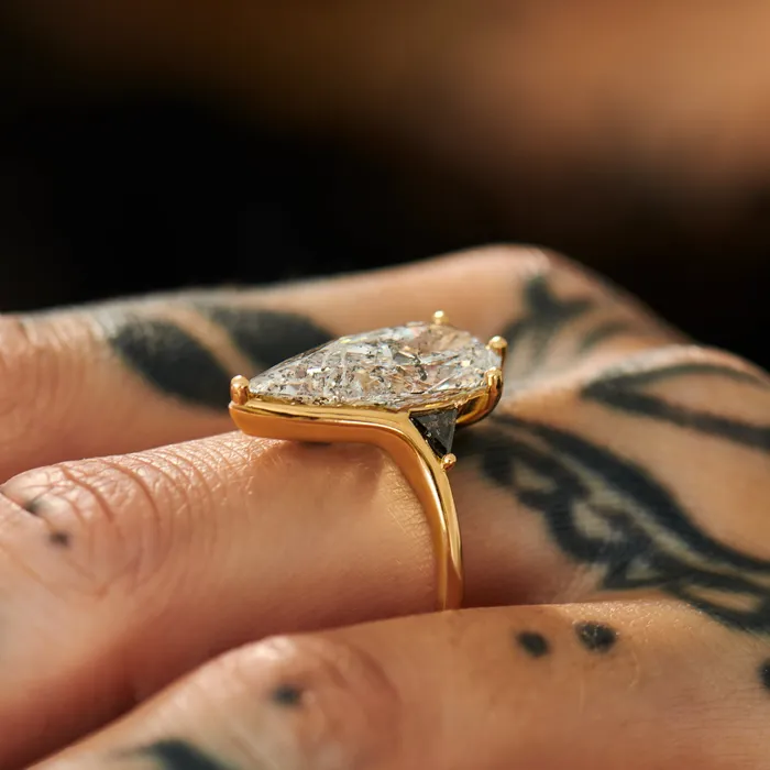 Rings Interstellar OOAK Salt Pepper Engagement Ring ARTEMER